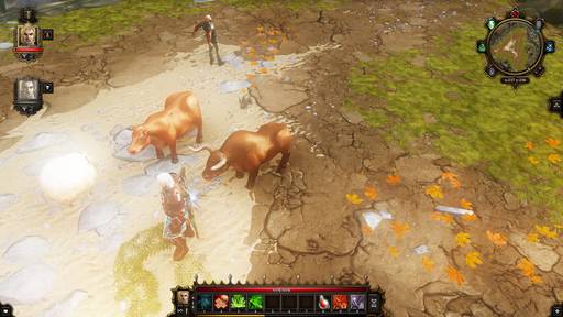 Divinity: Original Sin - Divinity:Original Sin: одинокий... викинг!